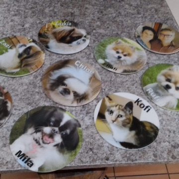 Pets